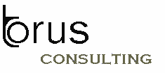 Torus Consulting Logo